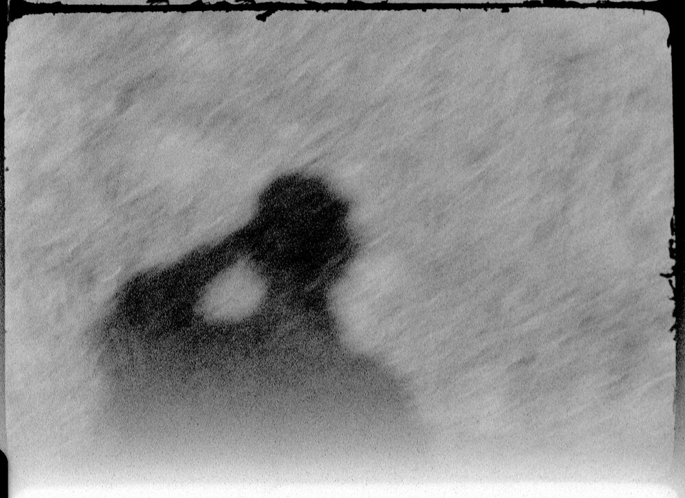 dafne_narvaez_berlfein