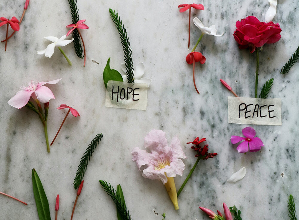 Flowers_hope_peace