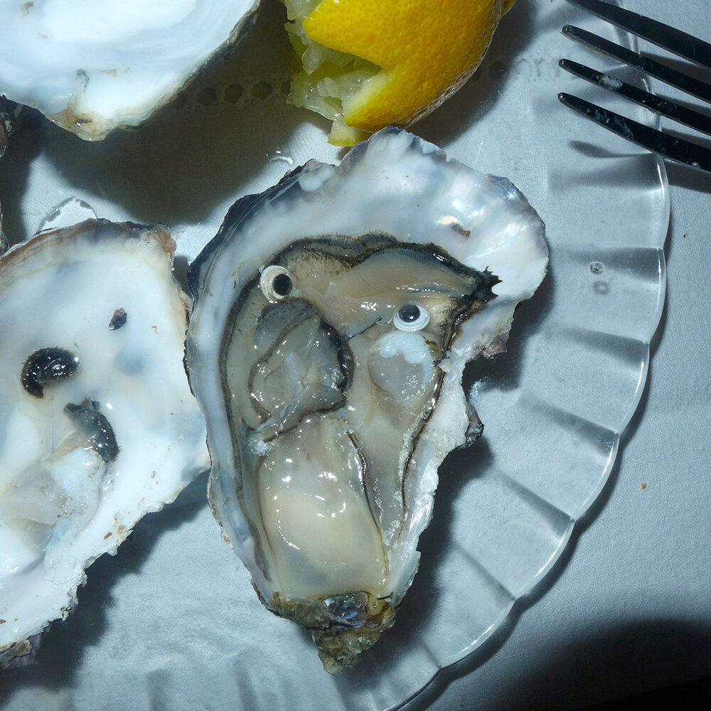 Open oyster